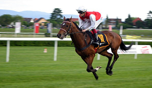 Horse and jockey in red and white