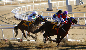 Three horses racing on sand