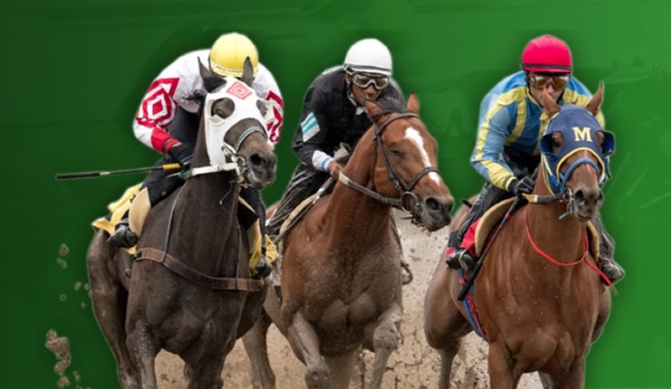 Racing Odds Review