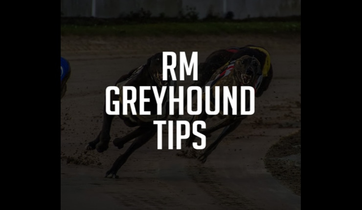 RM Greyhound Tips Review