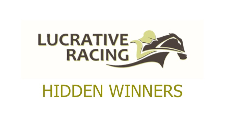 Hidden Winners Review