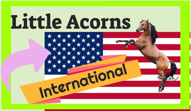 Little Acorns International Review