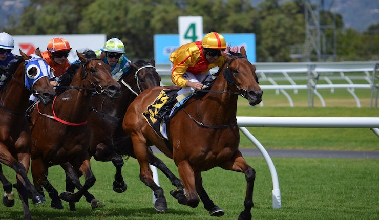 jockey racing in gold ahead of other horses