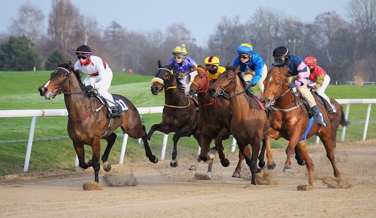 Horses racing on sand