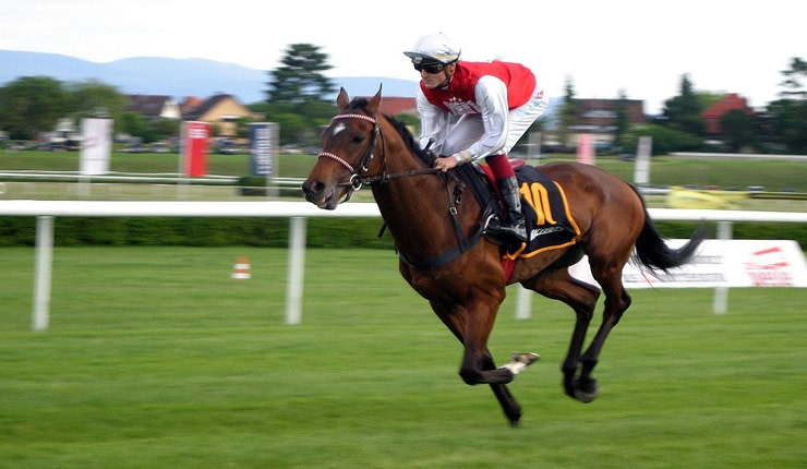 Horse and jockey in red and white