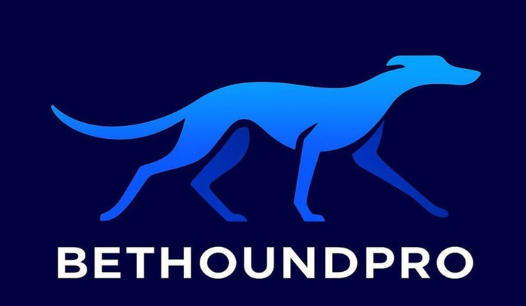 BetHound Pro review
