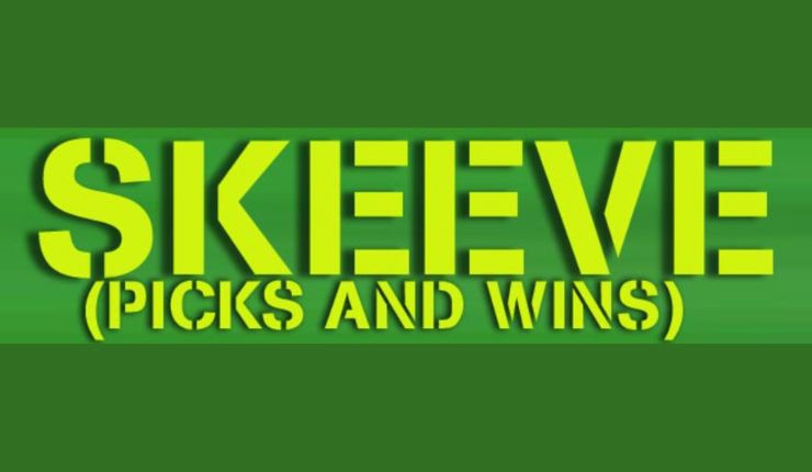 Skeeve Picks review