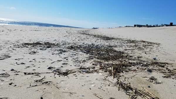 Sand and line of ocean debris along the beach in Bay Head New Jersey.