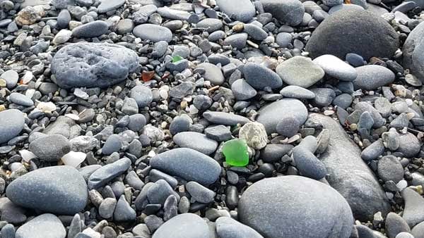 Green sea glass and brown sea glass hiding in the pebbles on East Point Beach, Biddeford, Maine.