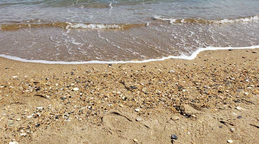 Seashells washing up on Buxton Beach, Hatteras Island, North Carolina