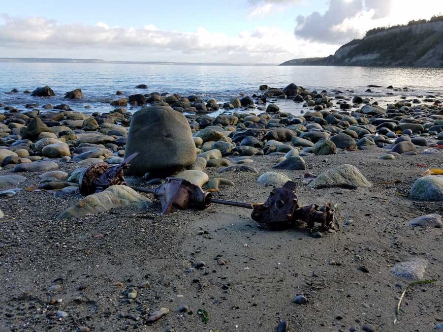 Auto parts at Glass Beach, Port Townsend