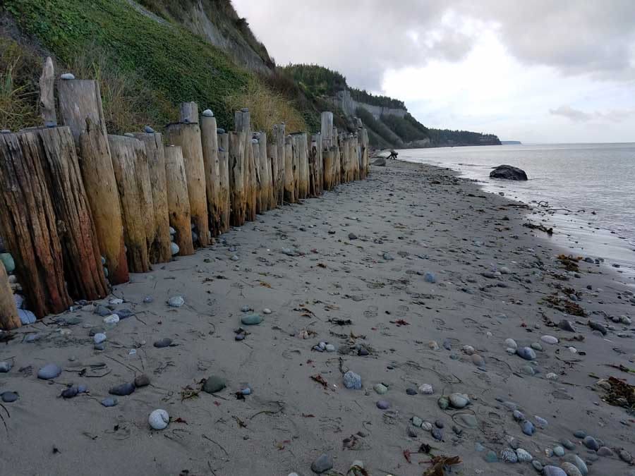 Glass Beach, Port Townsend Amazing Sea Glass Hunting Spot!