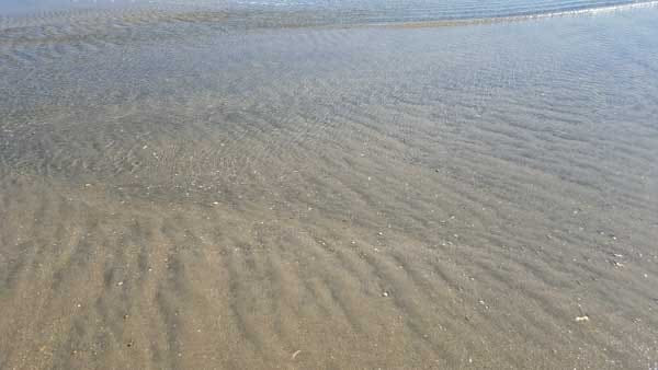 Crystal clear water at Bay Head Beach New Jersey.