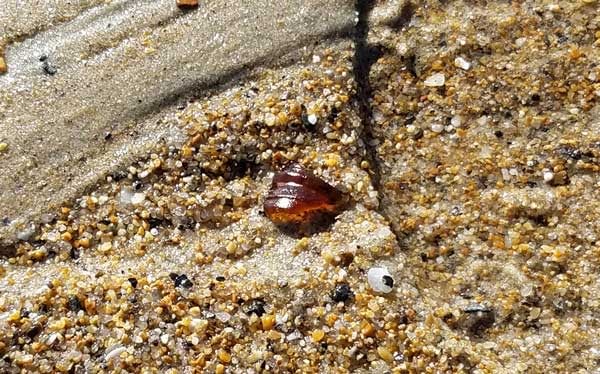 old-orchard-beach-brown-sea-glass-maine-image Brown sea glass bottle lip found in the sand on Old Orchard Beach.