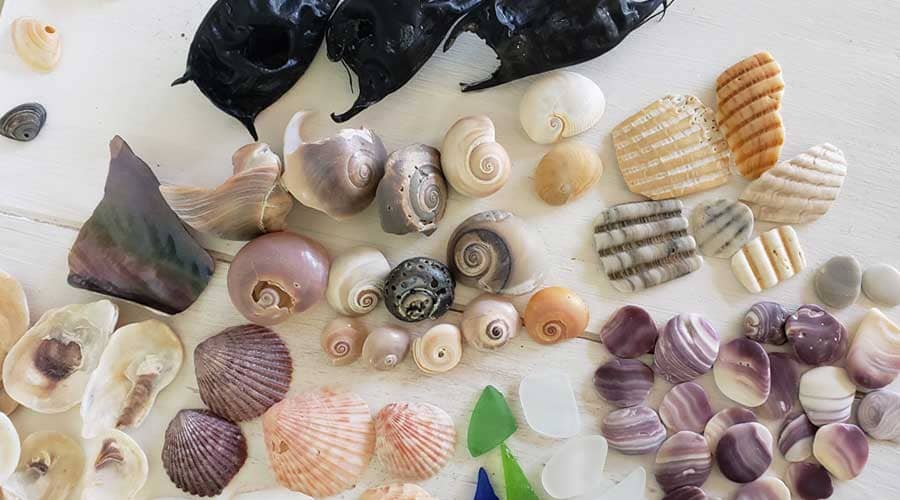 Sea glass and seashells found at Pea Island, North Carolina
