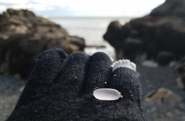 Gloved hand holding white sea glass on East Point Beach, Biddeford, Maine.