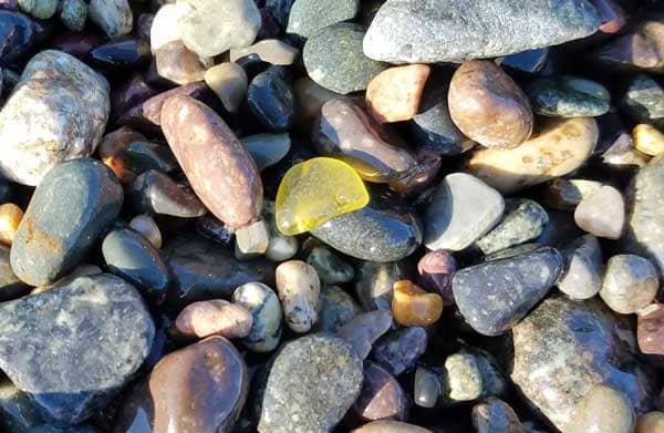 Yellow sea glass in pebbles on 40 Steps Beach, Nahant, Massachusetts.