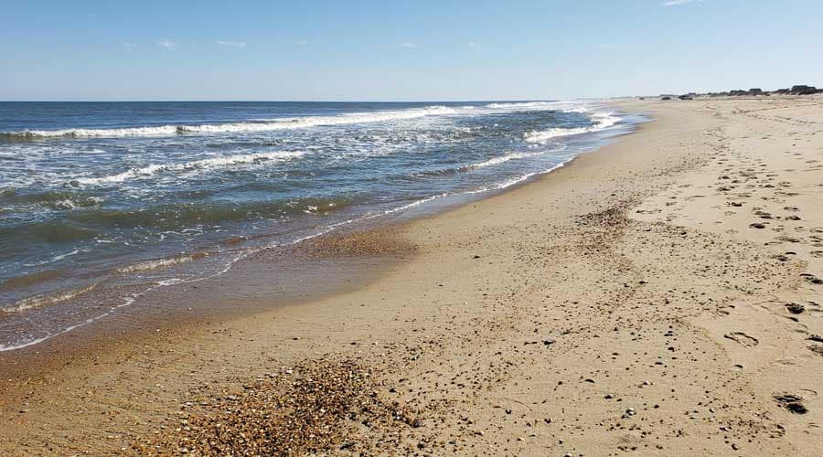 Seashells on Avon beach, Outer Banks, North Carolina