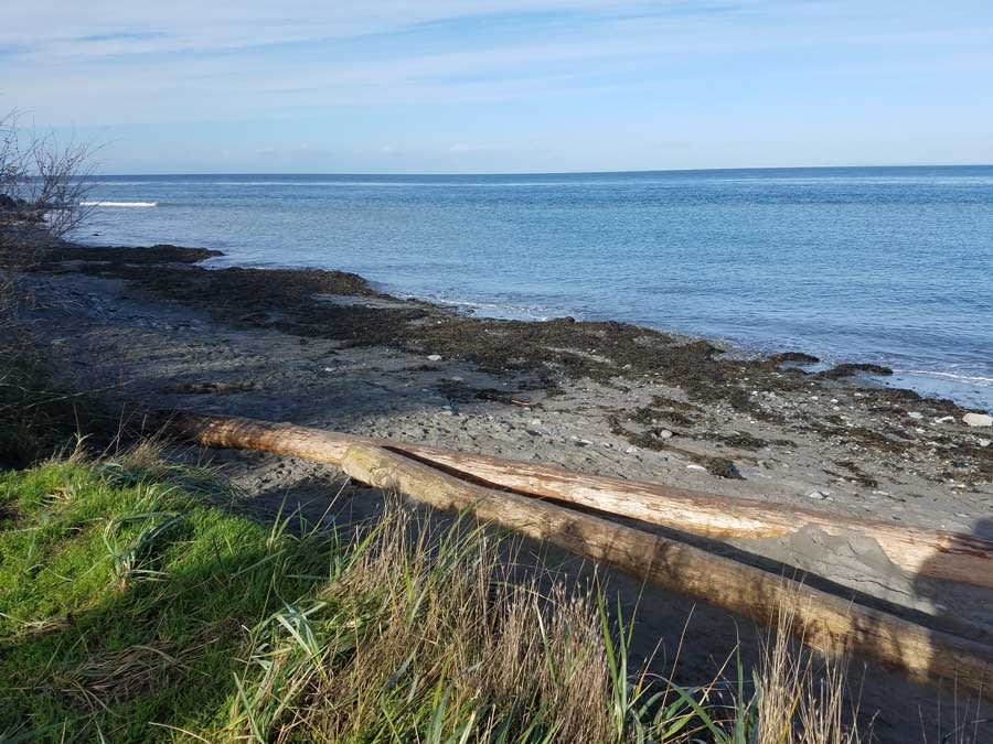 Glass Beach Port Townsend Amazing Sea Glass Hunting Spot 