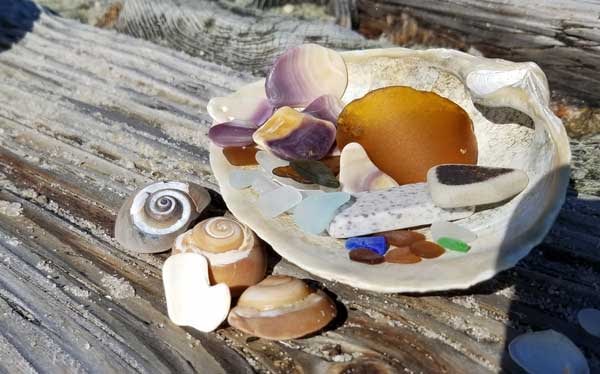 Blue sea glass, wampum and seashells in a clam shell on a wood piling on the beach.