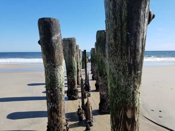 image-bay-head-beach-new-jersey-(2) Old wooden pier pilings on Bay Head beach in New Jersey.
