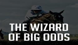 The Wizard Of Big Odds Review