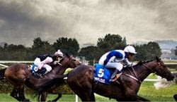 horsecashbuilder-review-image