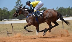Jockey in yellow racing on horse