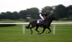 Jockey riding horse at high speed