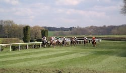 Horses racing in countryside setting