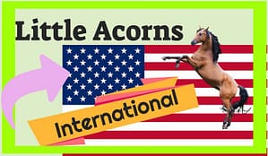 Little Acorns International Review
