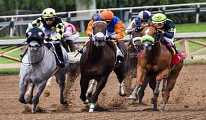 Horses racing on sand