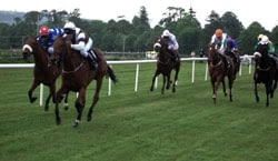 diamond-racing-lays-review-image
