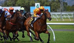 value-backing-horse-betting-review-image