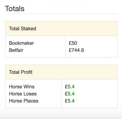 Each Way Sniper profit example