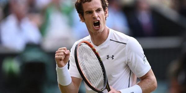 Andy Murray celebrates after winning the 2013 Wimbledon Championships.