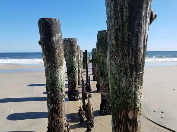 Old wooden pier pilings on Bay Head beach in New Jersey.
