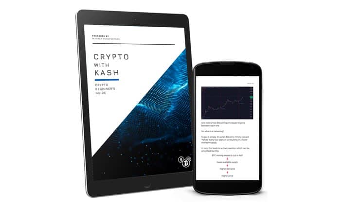 Crypto With Kash Review