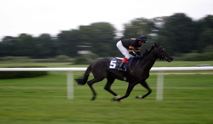 Jockey riding horse at high speed