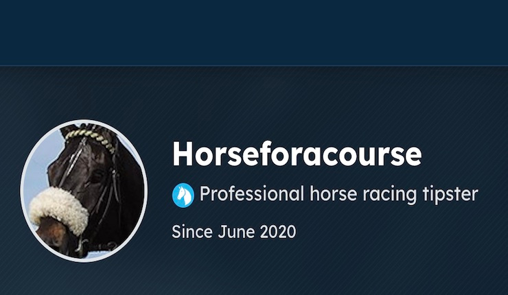 Horseforacourse review