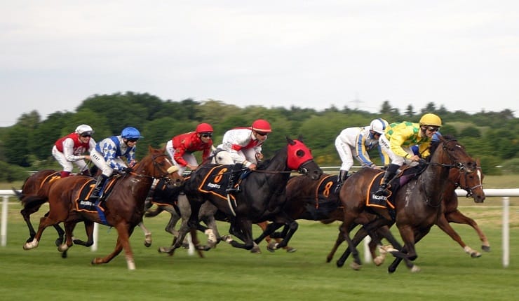 Horses grouped together in a race
