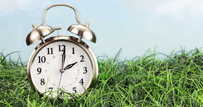 football-trading-time-image An alarm clock sitting in grass.