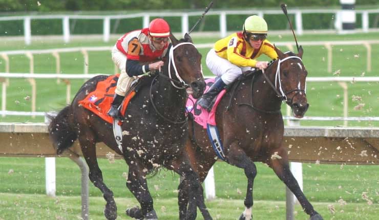 Victor Value Review Horse Racing Tipster Service