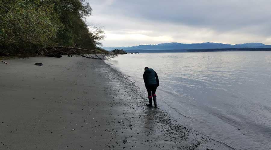 Washington Sea Glass: The Best Beaches for Beachcombing!