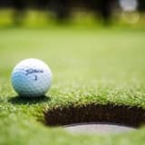 Wadster Bet Bots - Flop Shot Golf Bets